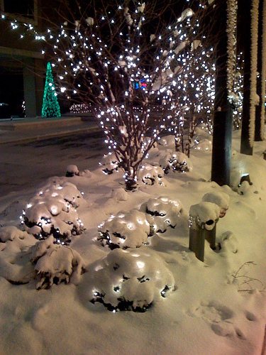 chicago_christmas_lights_in_snow.jpg